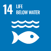 UN goals - 14 - life below water